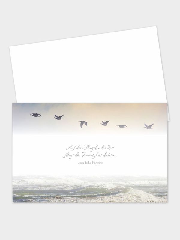 Trauerkarte im klassischen Querformat | Motiv Zugvögel | TKK_2Q_535_ATD