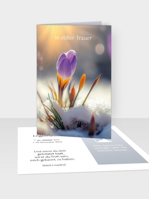 Erinnerungsbild - Kleinere Klappkarte mit Trauerbild/Sterbebildchen (74 x 105 mm) | Motiv Frühlingserwachen | EB_079