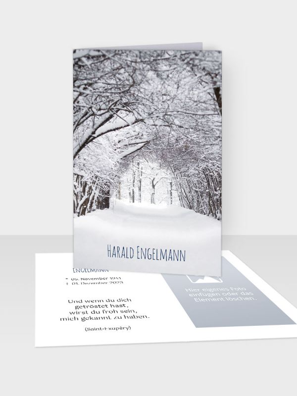 Erinnerungsbild - Kleinere Klappkarte mit Trauerbild/Sterbebildchen (74 x 105 mm) | Motiv Winterwald | EB_080
